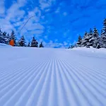 شقة فندقية 91