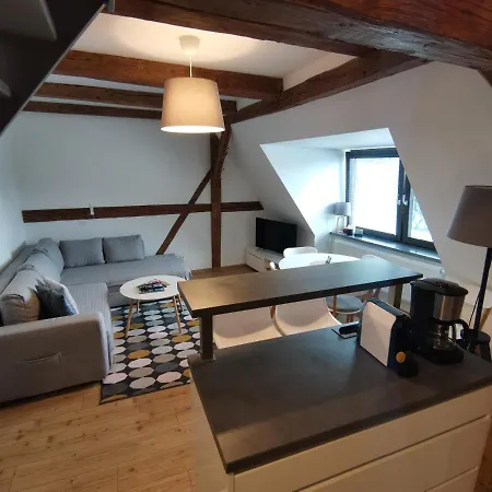 Aparthotel 91 Boží Dar