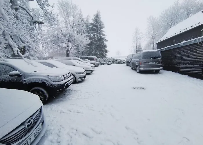 91 3* Boží Dar